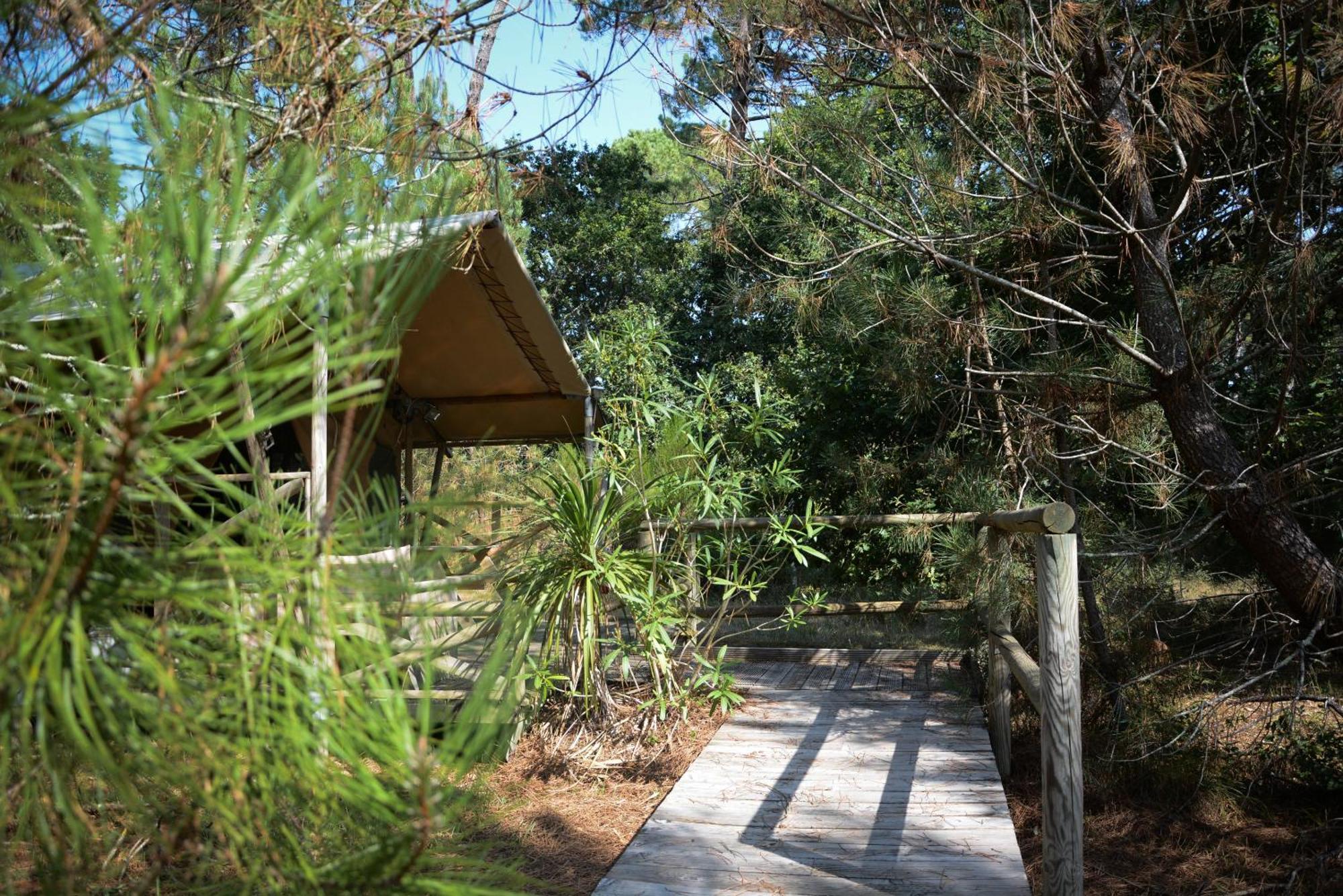 Lo Rey Du Lac Soorts-Hossegor Bilik gambar